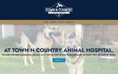 Town N Country Animal Hospital, Henderson, TX